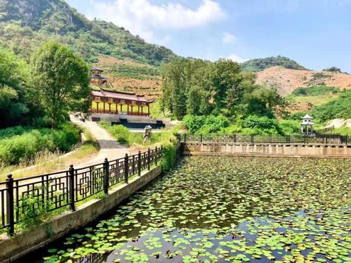 原來(lái)家門(mén)口這么多好玩的 國(guó)慶假期,武穴人必去的景點(diǎn)都在這