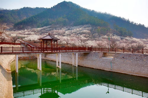 全域發力精準治理 城陽探索農村人居環境整治提升新路徑鳳凰網青島