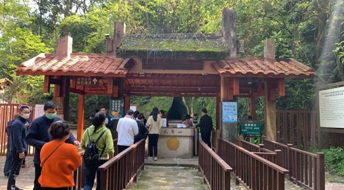 武夷山今天恢復(fù)開(kāi)放 全國(guó)醫(yī)護(hù)人員免費(fèi),還有這些優(yōu)惠政策